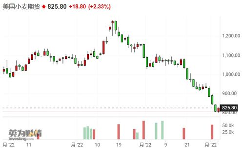 【国际期货】俄乌冲突升级，小麦、玉米供应担忧再起，2021俄乌冲突是怎么回事