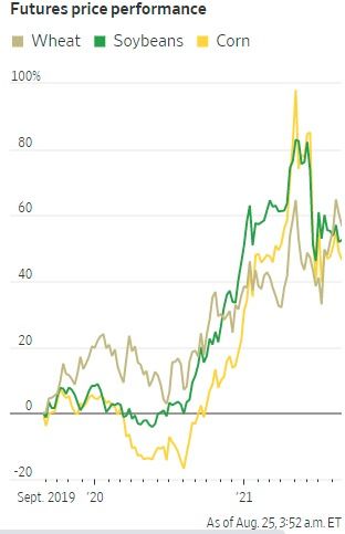 【国际期货】极端天气威胁巴西咖啡产量，咖啡期货暴涨，国际咖啡期货行情