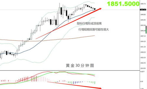美联储政策预期转变，黄金获提振，美联储最新政策导向