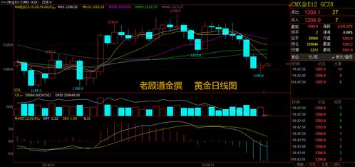 德指期货价格发现功能，德指期货一个点多少钱
