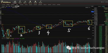今日期货实盘直播：关键转折点位曝光，今日期货实盘记录