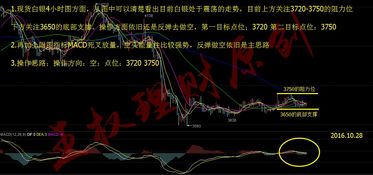 【恒指期货直播室】2025年10月28日