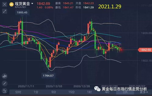 【实时解盘】2025年10月29日黄金期货、原油期货走势｜恒指期货、纳指期货明日市场预测与策略