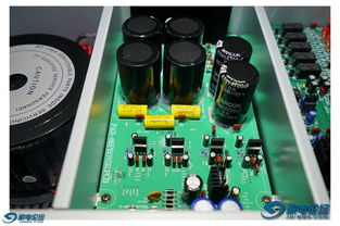 内盘播报｜10月28日早盘：贵金属与红枣上演“跌跌不休”，市场情绪暗流涌动