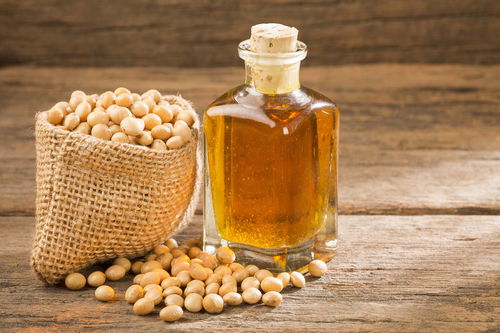 【华富之声】豆油报价｜今日最新豆油期货价格行情查询（2025年10月28日）