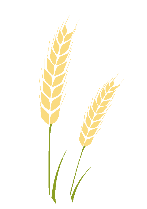 基金市场今日实时动态｜A股与深证指数2025年10月29日最新分析及明日展望