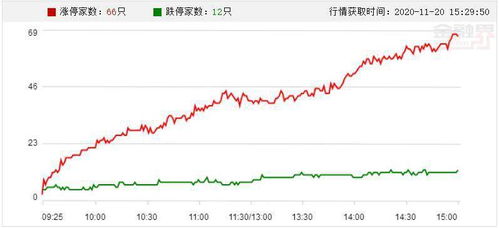 新能源板块突发利好！2025年10月29日多股涨停，明日布局策略