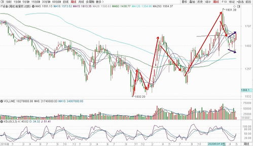 【下一个风口】科技板块王者归来，明日重点把握这些个股