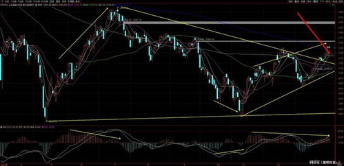主力资金调仓路径终极曝光！明日这些板块或引爆收官之战
