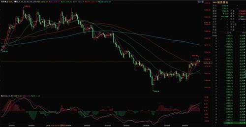 【10月29日紧急播报】恒指直播间&am