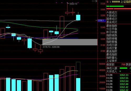 《当散户集体悲观时，机会正在酝酿！10.29数据揭示：机构正逆向加仓A股与恒指》
