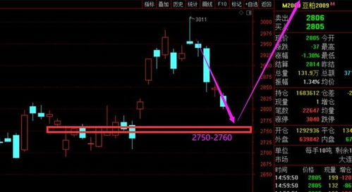 天然气期货资金面分析：主力多头增仓中，天然气期货上涨说明什么