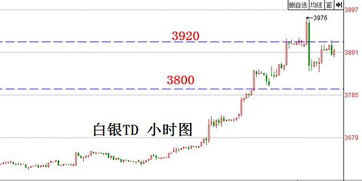 天然气期货操作建议：日内仓位控制方案，期货 天然气