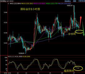 实时黄金期货直播室：今日金价波动与明日趋势展望（附原油策略）