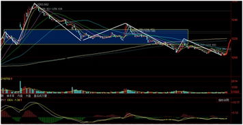 10月31日深夜急电：期货直播室惊现重大