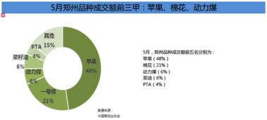 国际期货直播室视角：今日A股行情简报｜明日2025年11月1日深证指数方向预测