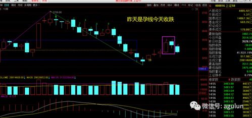 科技巨头引领纳指飙升，AI与半导体浪潮奔涌，智能浪潮下的投资新机遇