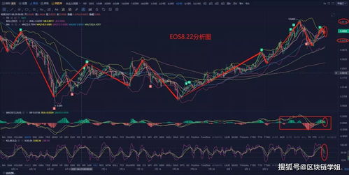 拨开迷雾，把握先机：恒指震荡整理下的投资智慧