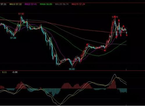 国际期货直播室黄金原油双线观察｜今日行情解盘与明日趋势展望