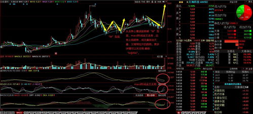 恒指直播间今日热点盘点｜明日AI概念股与基金布局策略