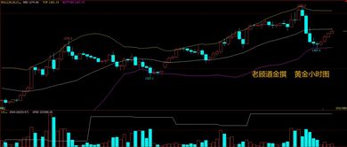 黄金期货直播室今日震荡行情分析｜明日科技