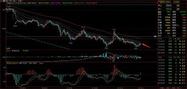 原油期货直播室2025年11月1日盘面全解｜明日2025年11月2日投资机会与热点板块