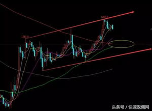 黄金、原油、恒指风云变幻：11月1日实况复盘与11月2日掘金策略