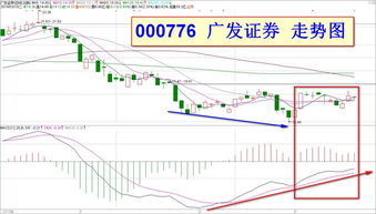 纳指直播间今日分析：A股回暖带动美股反弹（2025年11月3日）｜明日投资方向前瞻