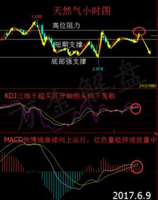 今日2025年11月3日恒指直播间最新解盘｜明日2025年11月4日恒指走势预测与操作策略