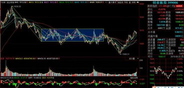 国际期货直播室今日焦点：A股震荡收高，恒指稳步反弹（2025年11月3日）