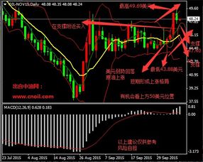 原油期货直播室最新行情：今日油价冲高回落，明日市场波动方向预测