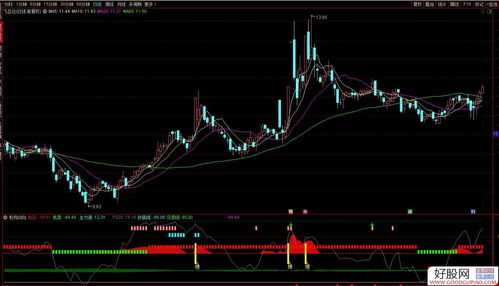 股指实时直播：主力动向全程跟踪，股指行情