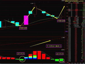 纳指直播间今日解盘：科技板块拉升｜明日投资机会提前布局