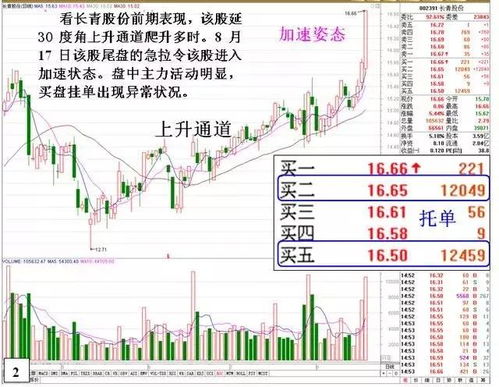 【盘口暗语】2025年11月4日恒指直播间异常挂单揭秘：数字玄机洞悉明日A股风向，原油直播室验证实锤！