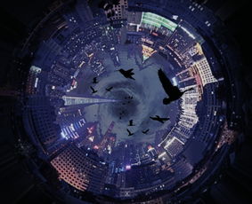 【心魔克服】2025年11月4日期货直播室修行：贪婪与恐惧的平衡术，明日A股实战检验