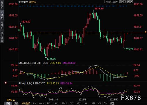 黄金市场情报：2025年金价能否继续上涨？，2025年黄金未来会不会暴涨