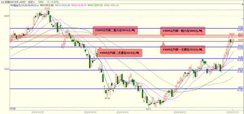 最新期货行情解析：黄金、白银、股指期货的波动性与投资策略，黄金白银期货交易时间表
