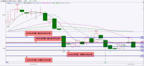 2025年期货市场展望：原油黄金白银与股指期货的投资机会，2020原油期货暴跌