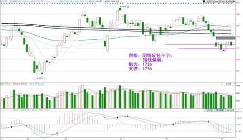 【德指期货直播室】2025年11月5日欧洲市场分析｜明日2025年11月6日恒指与A股前瞻