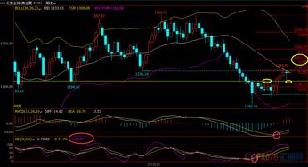 【期货直播室】今日2025年11月5日黄金与原油走势分析｜明日2025年11月6日纳指、恒指操作策略