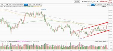 【收盘急电】2025年11月5日纳指期货直播室重大发现：科技股集体暴动，A股科创板基金明日或将跟涨