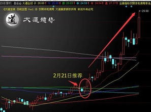 2025.11.5｜恒指直播间捷报！资金