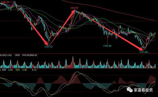 【2025年11月5日紧急解盘】恒指直播间&原油期货直播室双线预警：A股深证指数放量下跌，明日关键支撑位攻防战