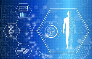 【2025年11月6日AI投顾】期货直播室智能系统推荐：A股深证指数明日看涨，重点配置这些优质基金