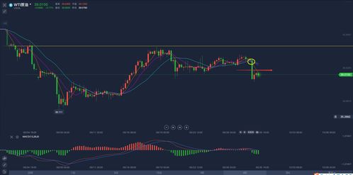 深夜盯盘的你，是否也错过了这些信号？2025年11月6日原油黄金直播室复盘：明日恒指/纳指最佳进场时机全公开！