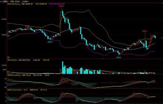 恒指纳指多空博弈实况（2025年11月6日）｜明日11月7日短线反弹机会揭秘