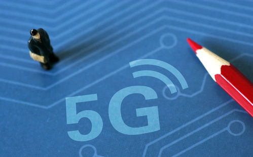 纳指今晚决战时刻！A股科创板明天见分晓：科技浪潮下的全球资本盛宴