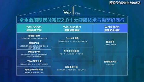 【政策东风】中国企业出海集中区域发力：2