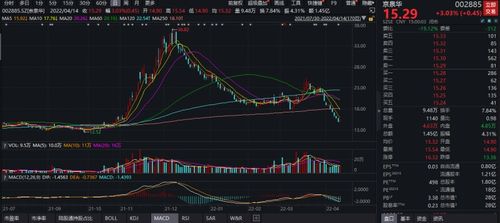 京泉华、望变电气：乘风破浪，引领板块上行的双星闪耀