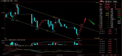 期货直播室今日市场动态｜明日恒指、纳指与基金操作要点前瞻（2025年11月7日）